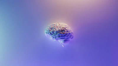 🧠 Sharpen your thinking with a second brain featured image