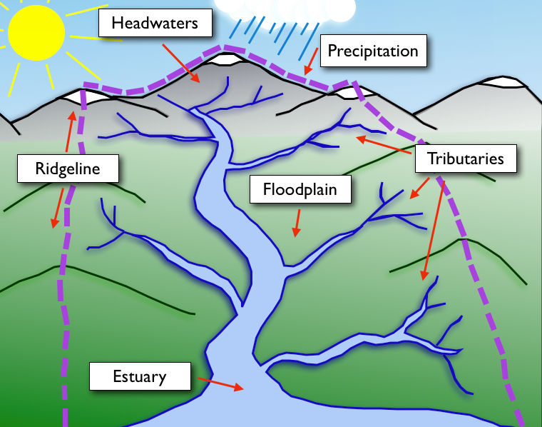 ../_images/ch02-LabeledWatershed.jpg